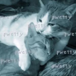 Meet your Posher, Ariana